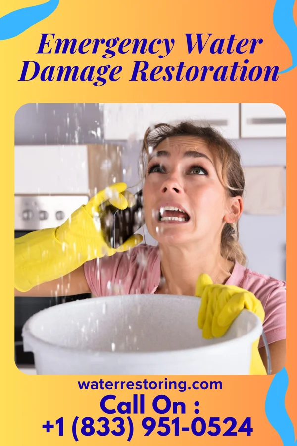 Emergency Water Damage Restoration in Lighthouse Point, FL